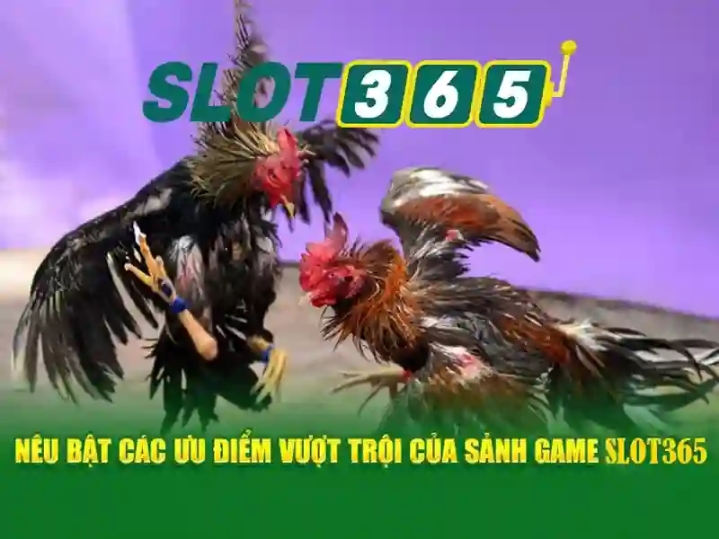 Tổng quan chủ đề và Giá trị cốt lõi của slot365.