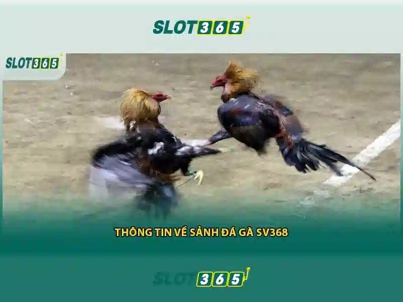 Tổng quan từ khóa slot365 vip