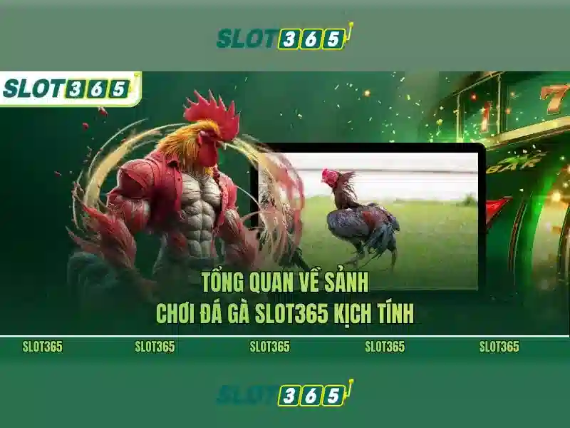 Nguồn gốc và sứ mệnh của Slot365