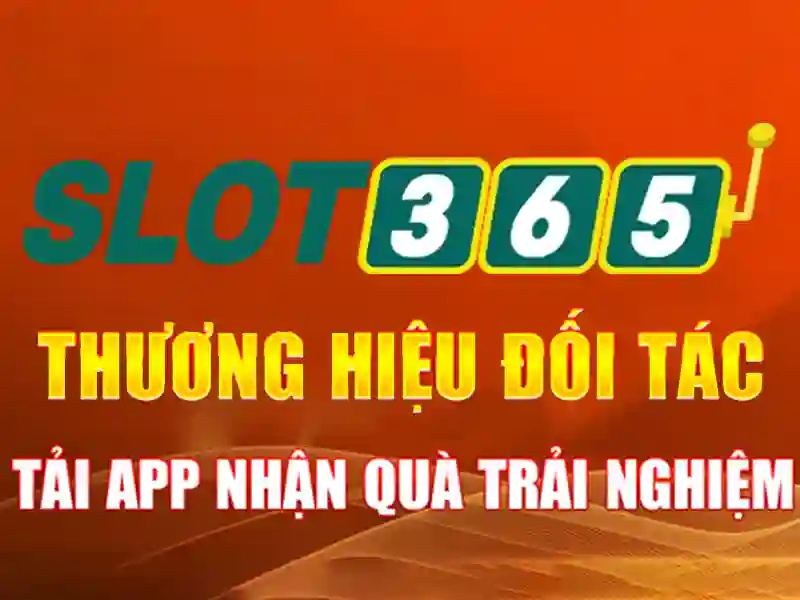 Trải nghiệm người dùng và phản hồi của slot365